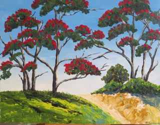 Pohutukawa Summer