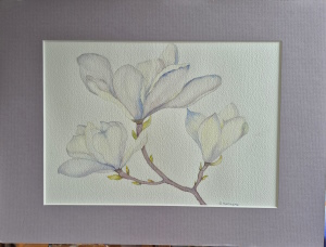 White Magnolias
