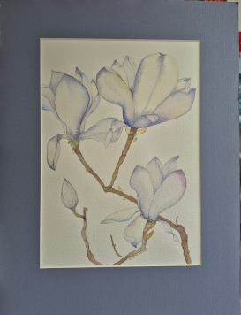 White Magnolias & Bud