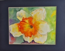 Spring Daffodil