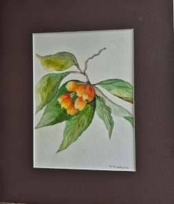 Crabapple
